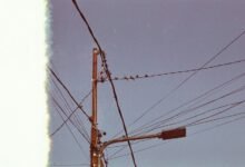 contact available support line