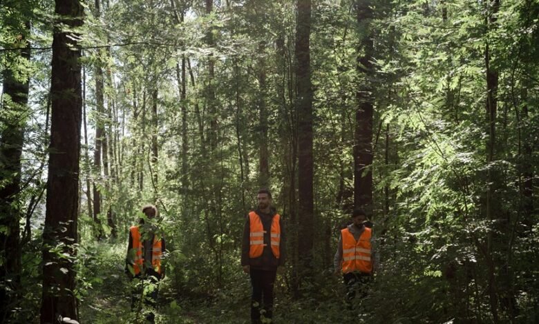 business environment analysis report