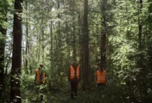 business environment monitoring summary