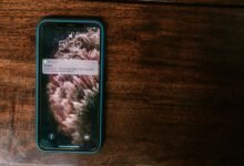 community alert on activity