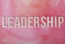 dynamic authority growth strategy