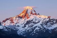 neural technology advancement project