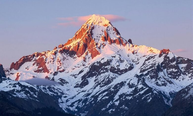 neural technology advancement project